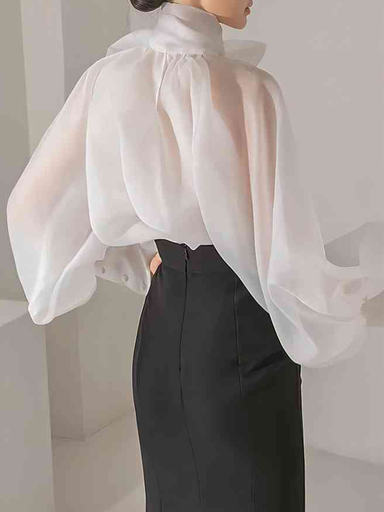 Women's Elegant Lantern Sleeve - Street Fashion Necklace avis et prix